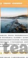 球探网实时足球比分-球探网实时足球比分，球迷的数据心脏与观赛新体验